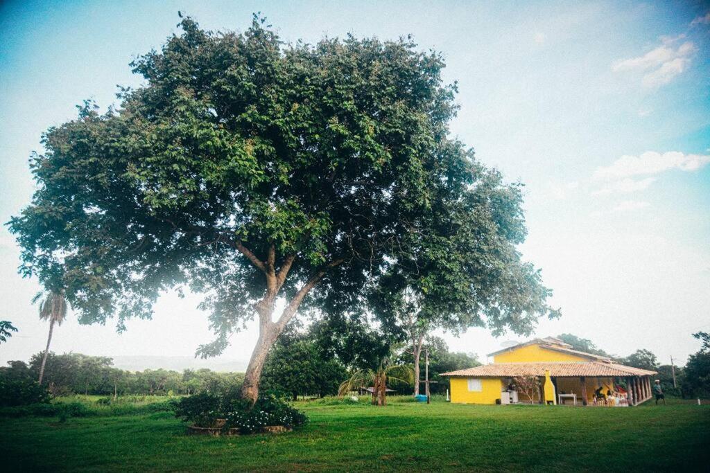 Apartamento Casa Flor Da Serra